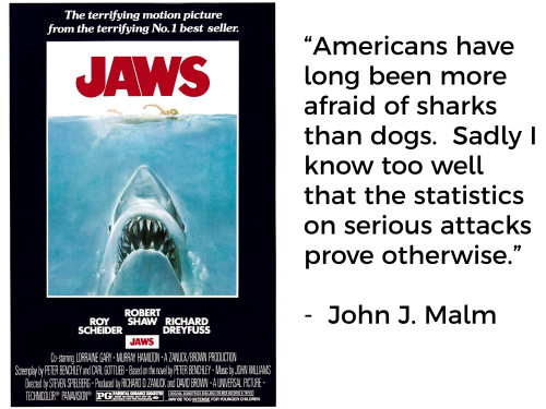 jaws