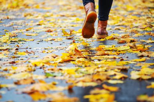 wet leaves