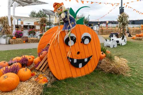 fall festival accidents